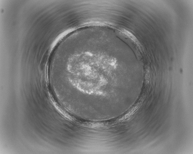 X0000085831030200704091652