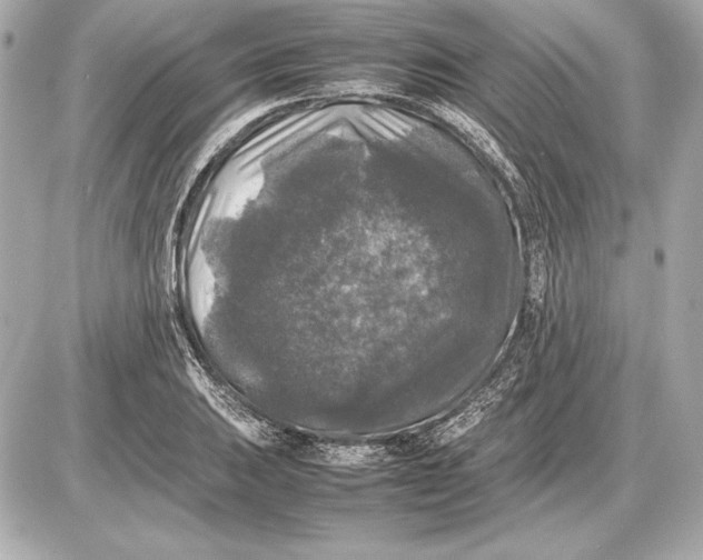 X0000085831031200704091652