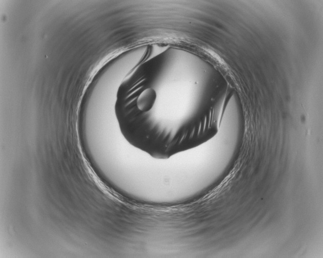 X0000085831034200704091652