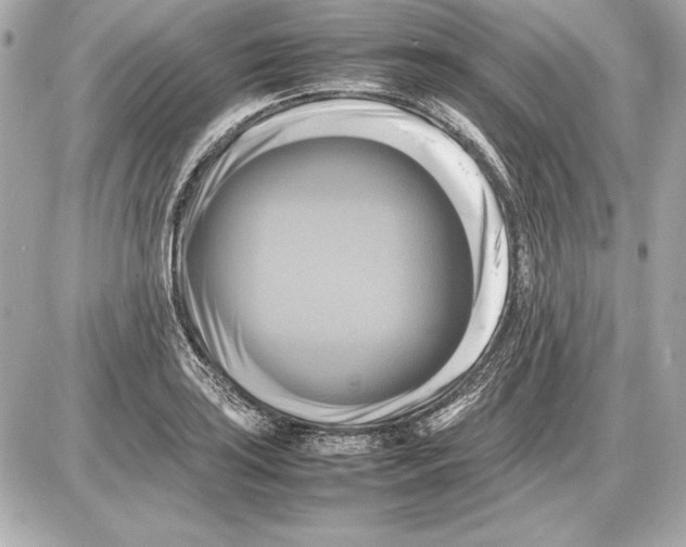 X0000085831035200704091652