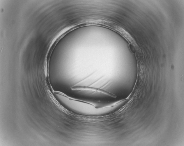 X0000085831036200704091653