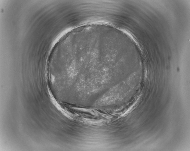 X0000085831038200704091653