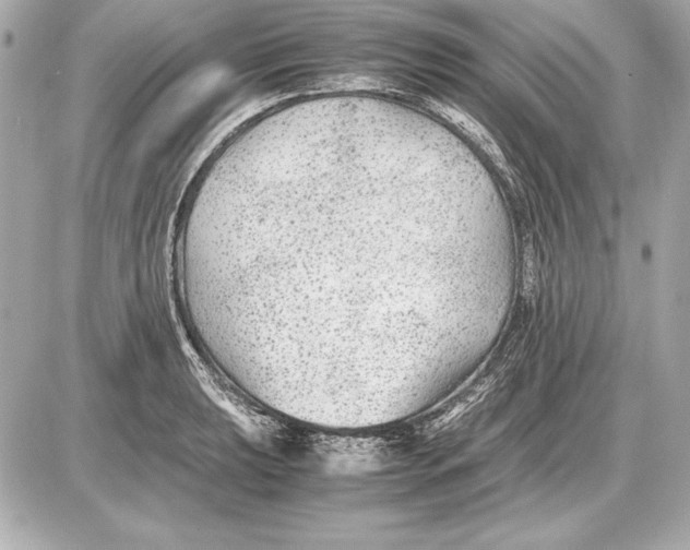 X0000085831039200704091653