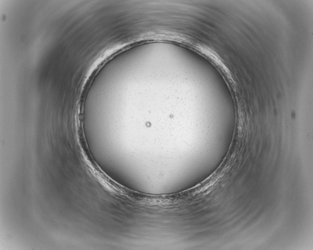 X0000085831040200704091653