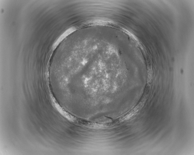 X0000085831042200704091653