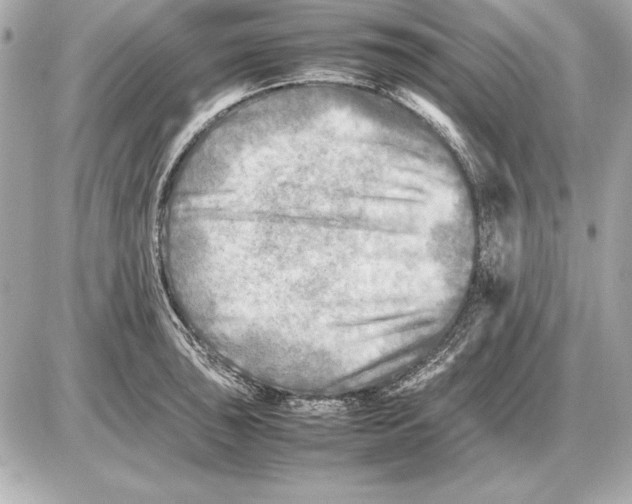 X0000085831043200704091653