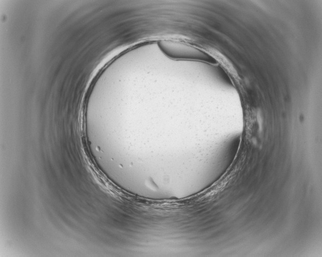 X0000085831044200704091653