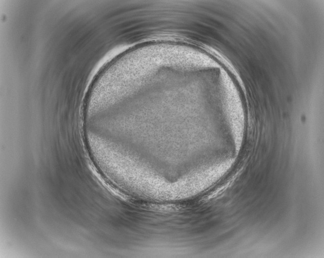 X0000085831045200704091653