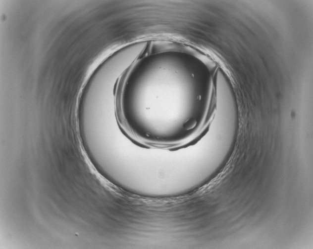 X0000085831046200704091653