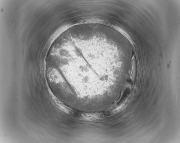 X0000085831047200704091653