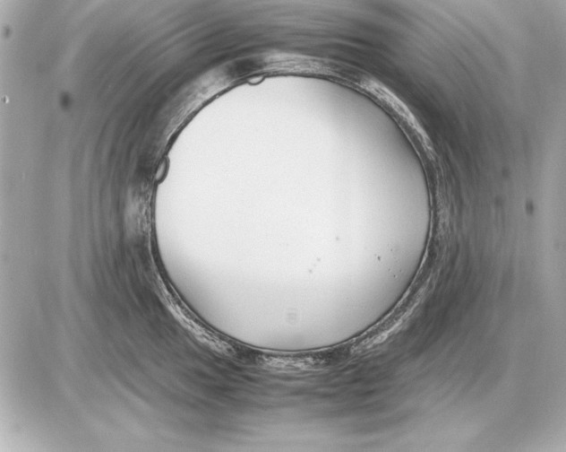 X0000085831049200704091653