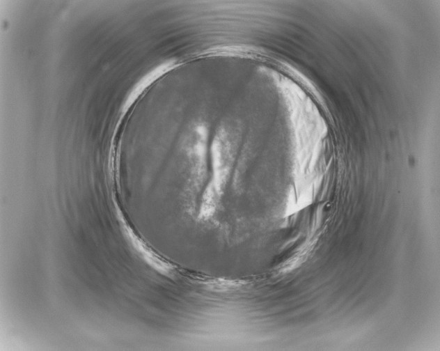 X0000085831050200704091653