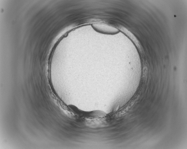 X0000085831051200704091653