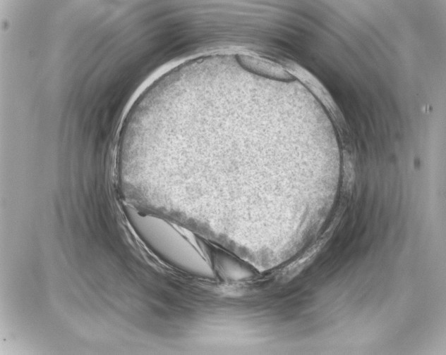 X0000085831052200704091653