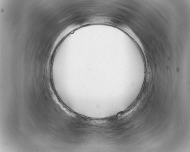 X0000085831053200704091653