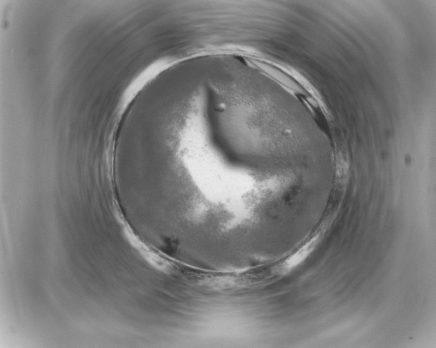 X0000085831054200704091653