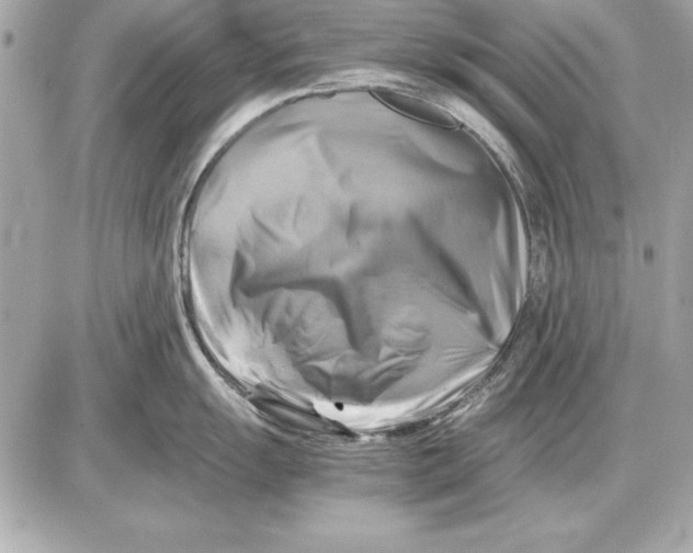 X0000085831055200704091653