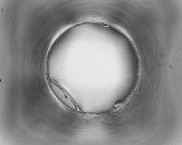 X0000085831056200704091653