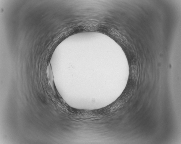 X0000085831057200704091652