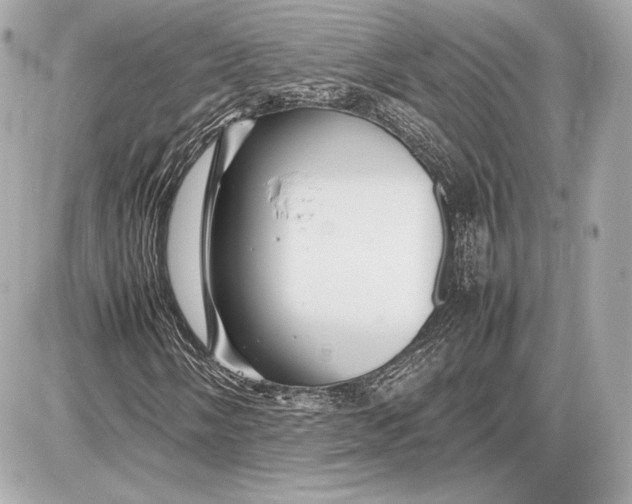 X0000085831058200704091652