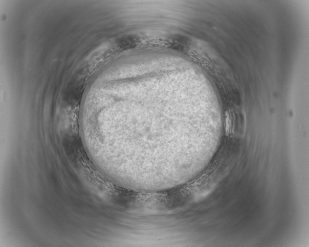 X0000085831059200704091652