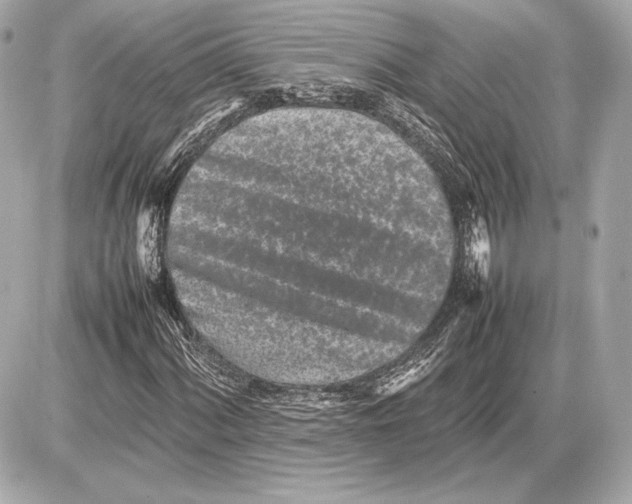 X0000085831060200704091652