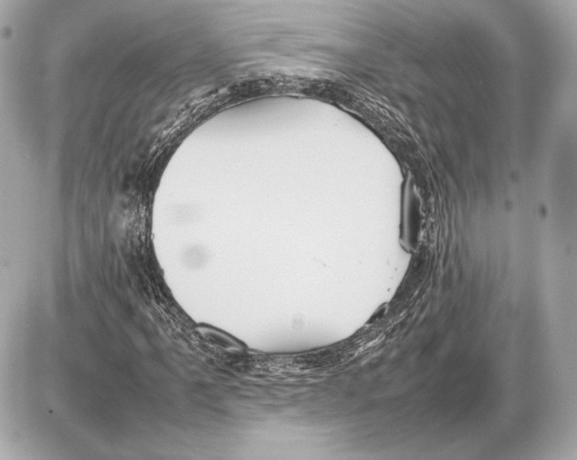 X0000085831061200704091652