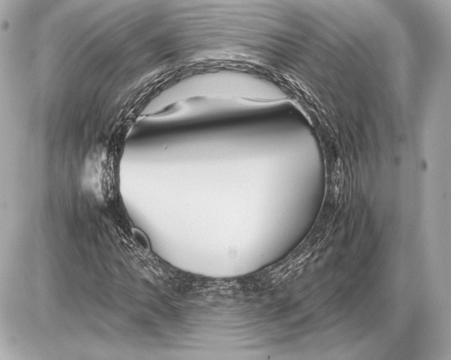 X0000085831062200704091652