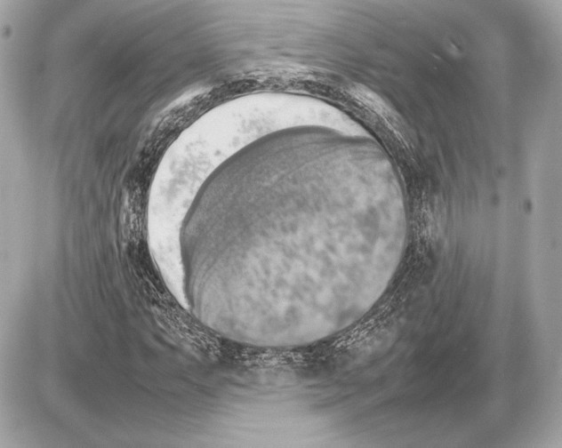 X0000085831063200704091652