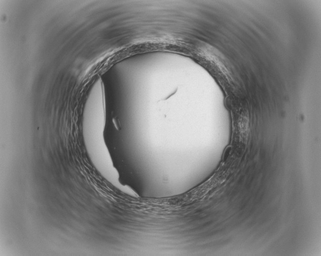 X0000085831064200704091652