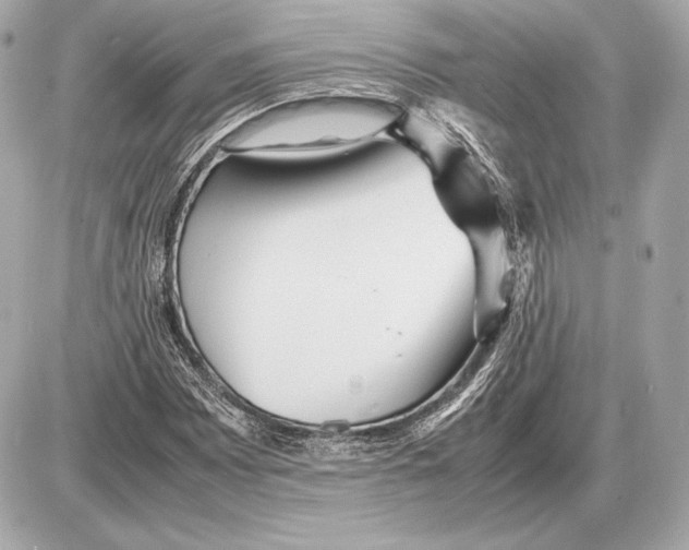 X0000085831065200704091652