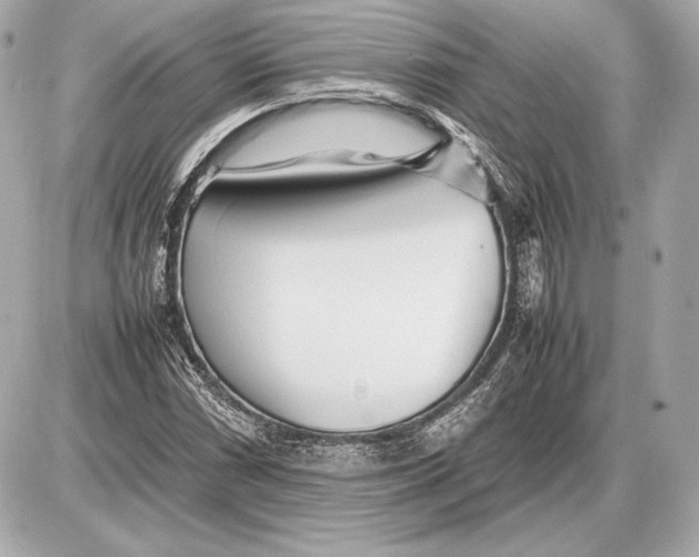 X0000085831066200704091652