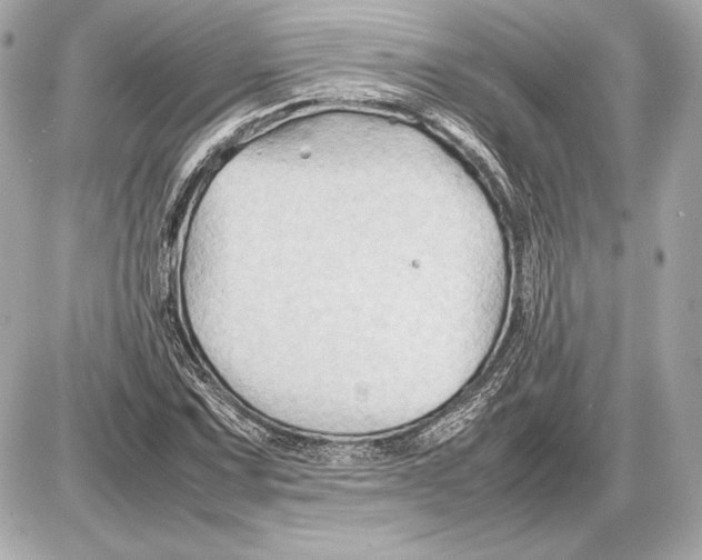 X0000085831067200704091652