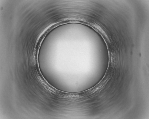 X0000085831068200704091652