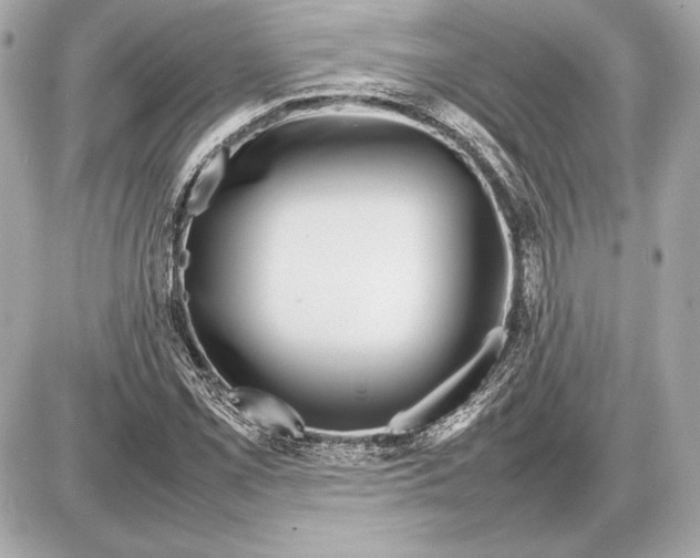 X0000085831069200704091652