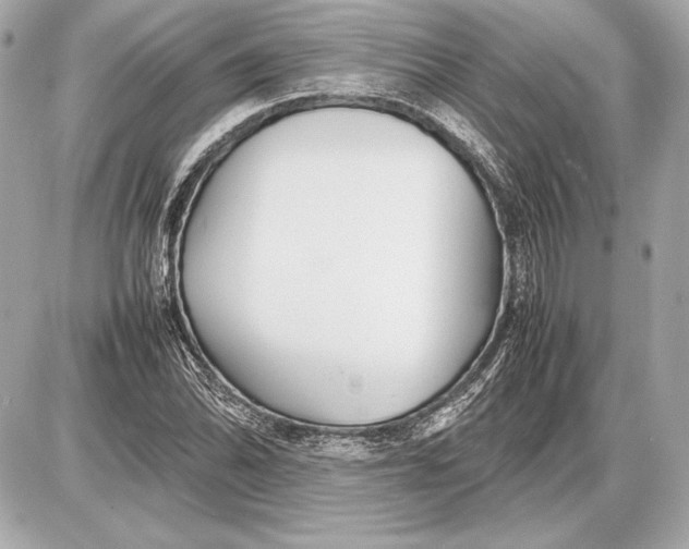 X0000085831070200704091652