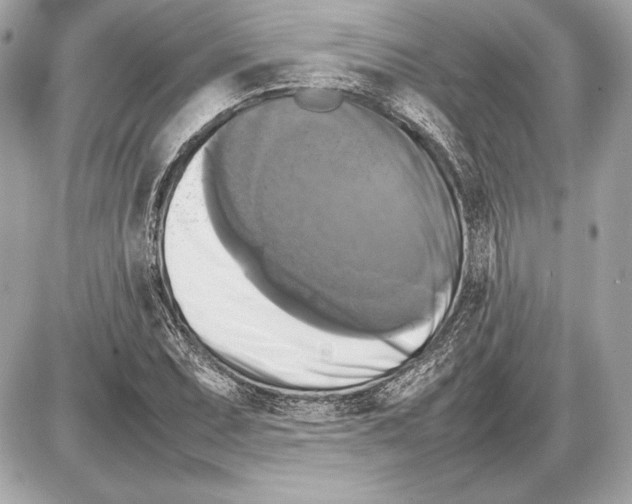 X0000085831071200704091652