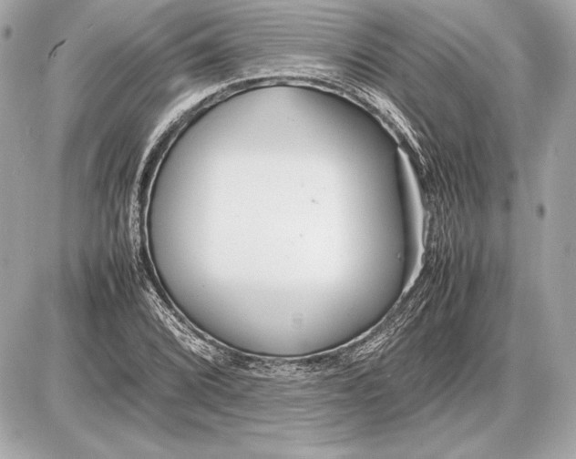 X0000085831072200704091652