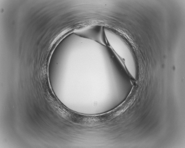 X0000085831073200704091652