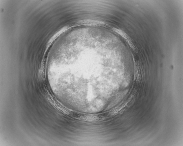 X0000085831074200704091652