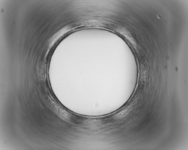 X0000085831075200704091652