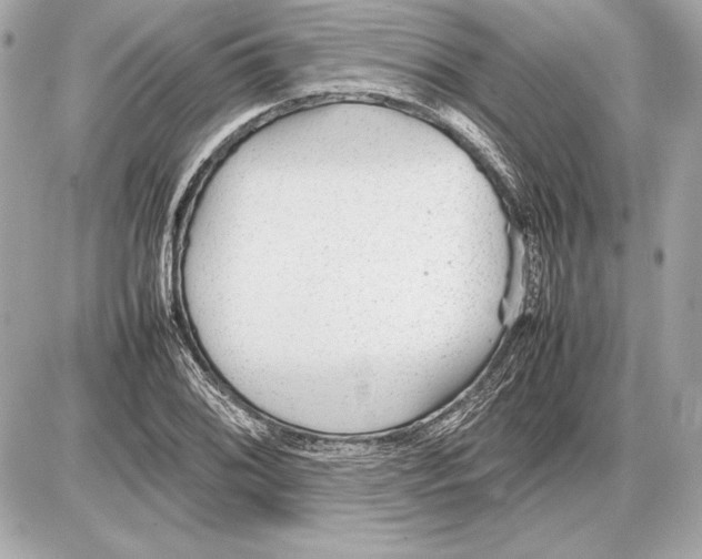 X0000085831076200704091652