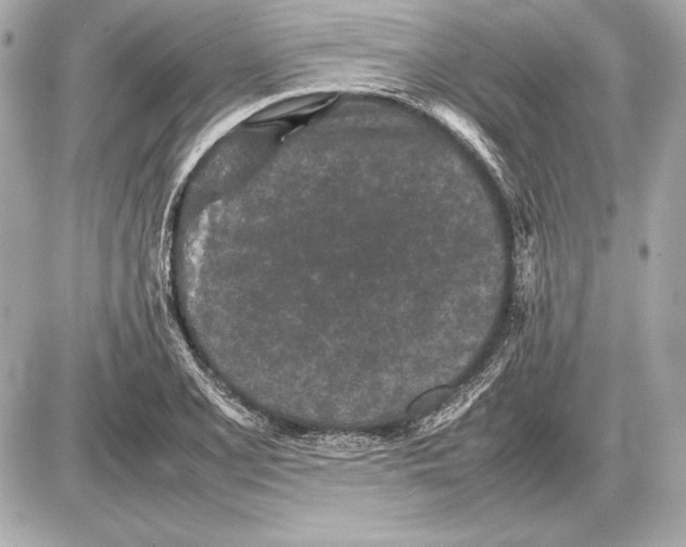 X0000085831077200704091652