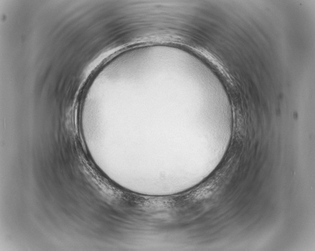 X0000085831078200704091652