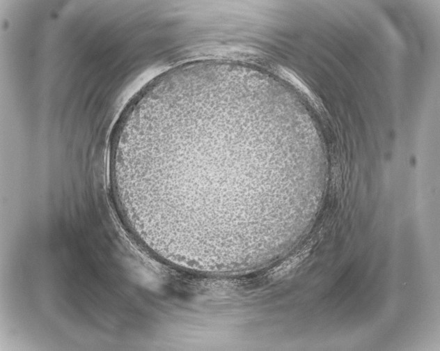 X0000085831079200704091652