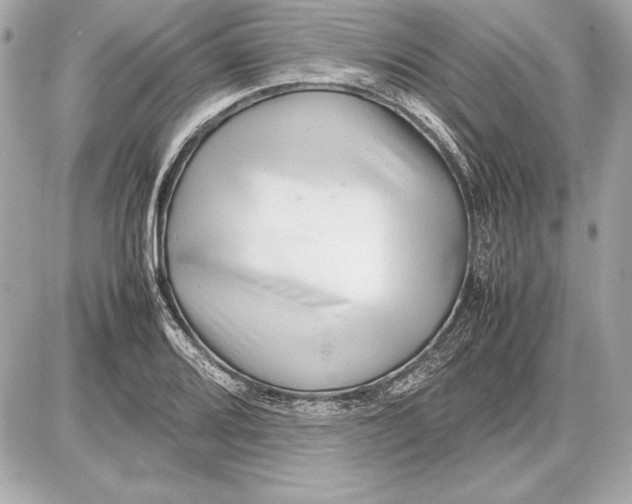 X0000085831080200704091652