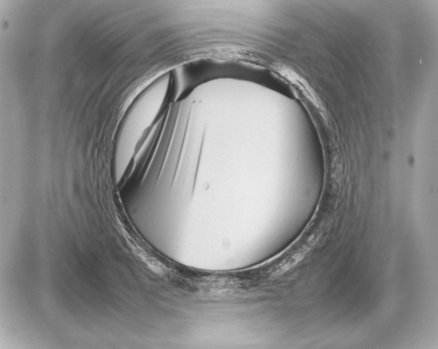 X0000085831081200704091652