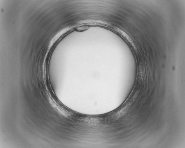 X0000085831082200704091652