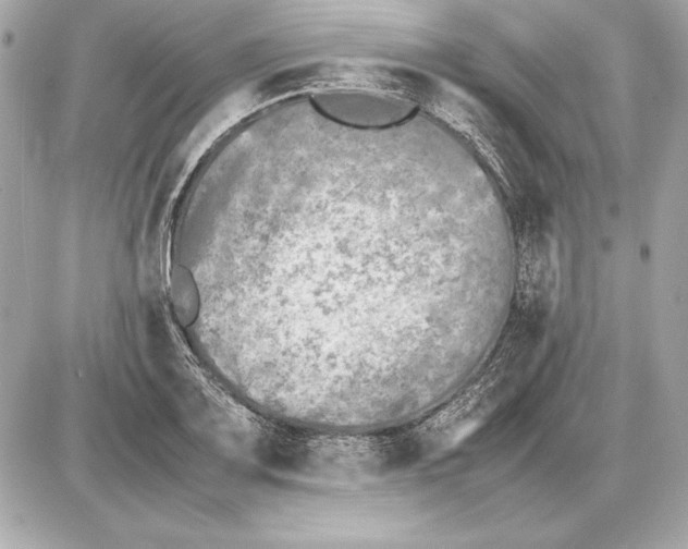 X0000085831083200704091652