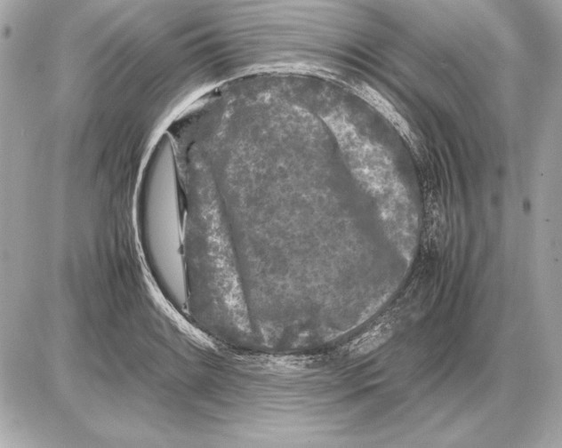 X0000085831084200704091652